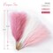 Pampas Grass Pink Decor 17.7 Inch 6pcs, Faux Pampas Grass Home Decor, Artificial Pampas Grass Blush Fake Pampas, Short Vase Room Christmas Decoration